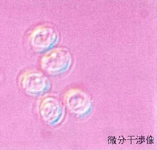 内部写真