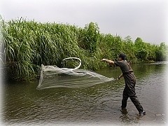 調査のようす