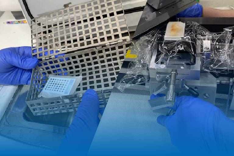 がんパネル前処理