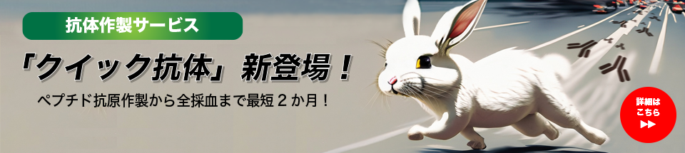 抗体作製サービス クイック抗体｜受託抗体作製サービスならユーロフィンジェノミクス