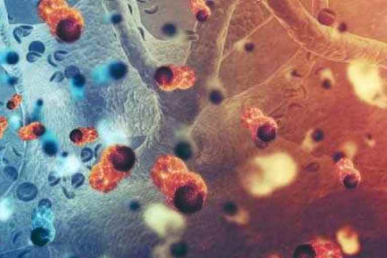 PFAS 自己採取血液 検査受託サービス(研究用)