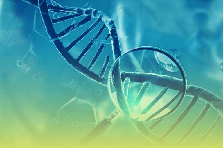 遺伝子変異解析