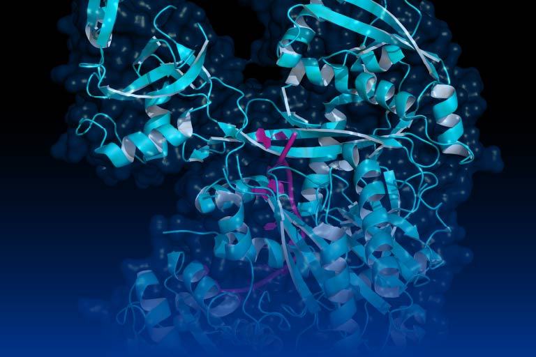 ゲノム安定性評価
