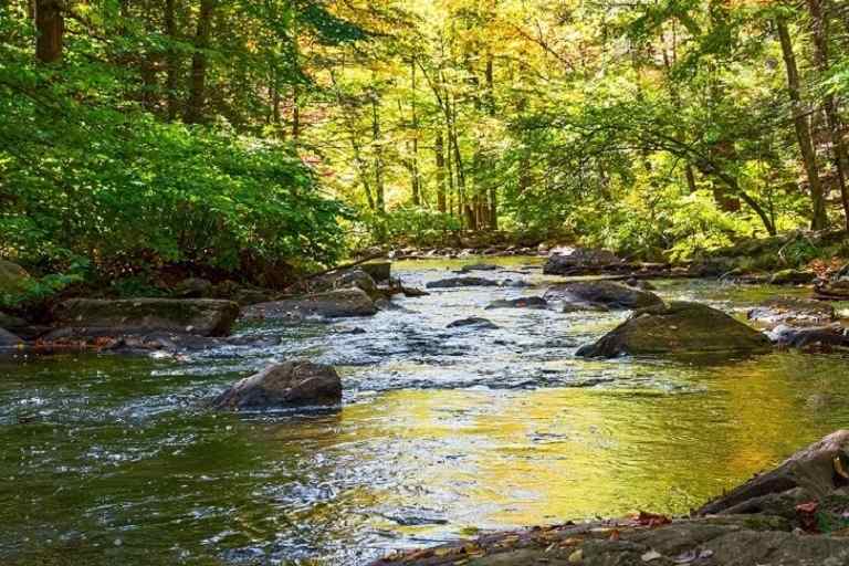 環境分析・調査
