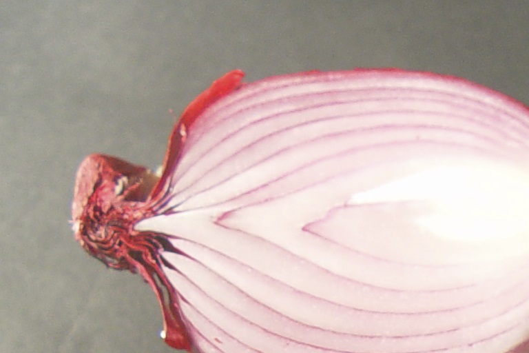 シクロアリイン・S-アリルシステイン