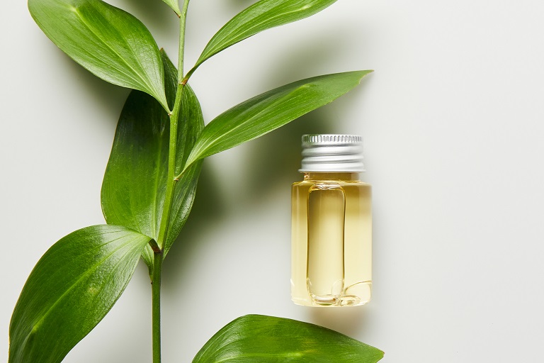 ピロリジジンアルカロイド類