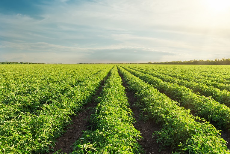 Agro Chemical Testing