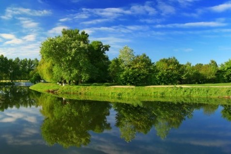 環境中の残留農薬分析