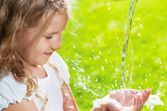 ヒトへの安全性