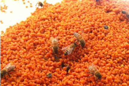 環境への安全性