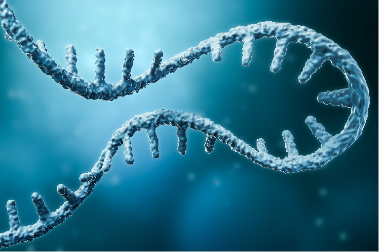 病理解析・遺伝子解析