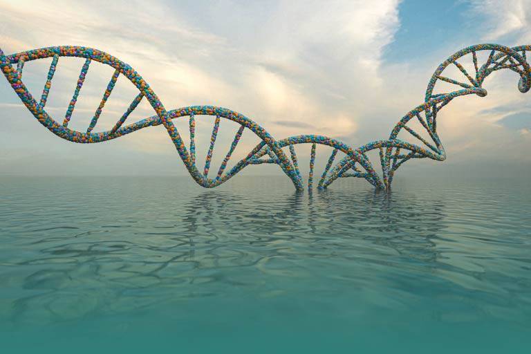 環境DNA解析