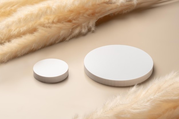 珪藻土製品のアスベスト分析