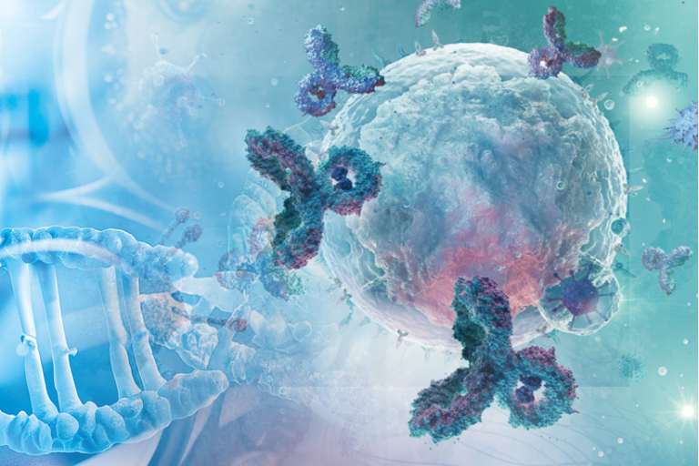 抗原親和性抗体価・各種特異的イムノグロブリン抗体価 測定