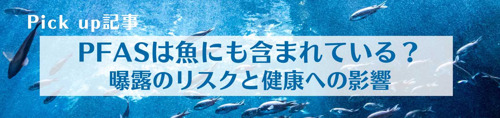PFAS,魚