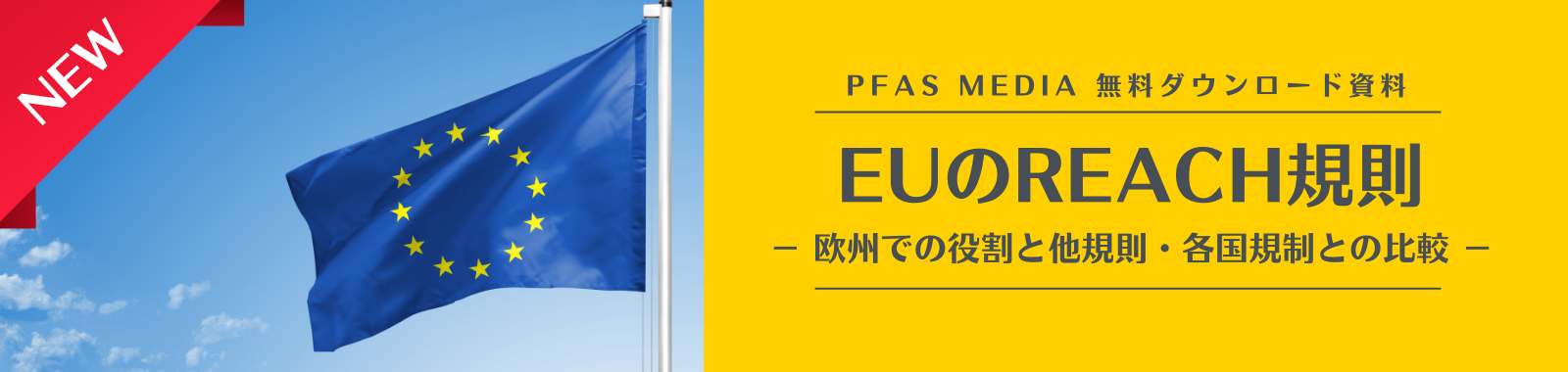 EUのREACH規制 - 欧州での役割と他規則‧各国規制との⽐較 -  ダウンロードフォーム