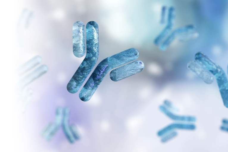 IgSensor Americ®特異的IgE抗体測定 受託サービス