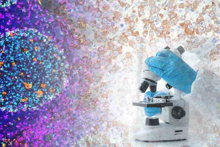 病理組織関連受託サービス